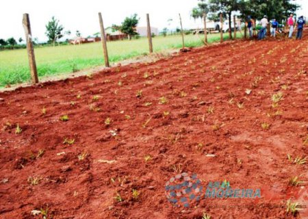 Obras executa trabalhos de revitalização em Aral Moreira