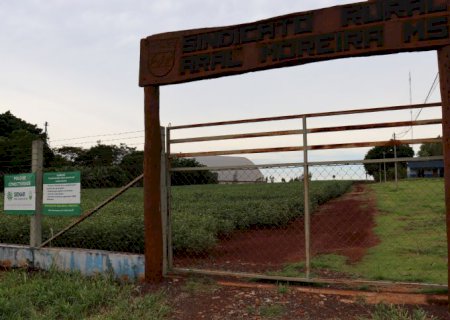 Novas Cultivares de soja é tema do Dia de Campo da Royal Agro em Aral Moreira
