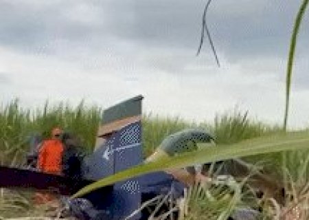 Piloto morre em queda de avi&atilde;o agr&iacute;cola