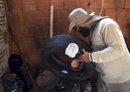 Dengue recua em MS, mas avanço da Chikungunya acende alerta de que cuidados precisam ser mantidos
