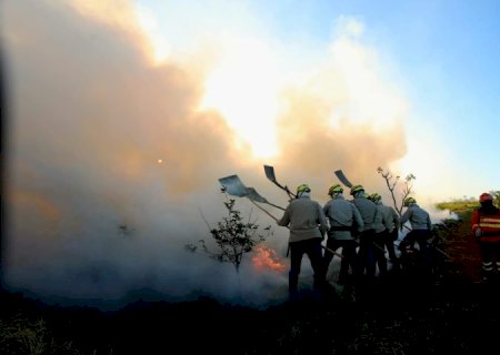 Prevenção aos incêndios: Governo de MS vai antecipar cronograma e lançar PSA Brigadas já em abril