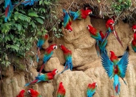 Destinos turísticos de MS ganham destaque no workshop ‘Belo Horizonte Tá On 2025’